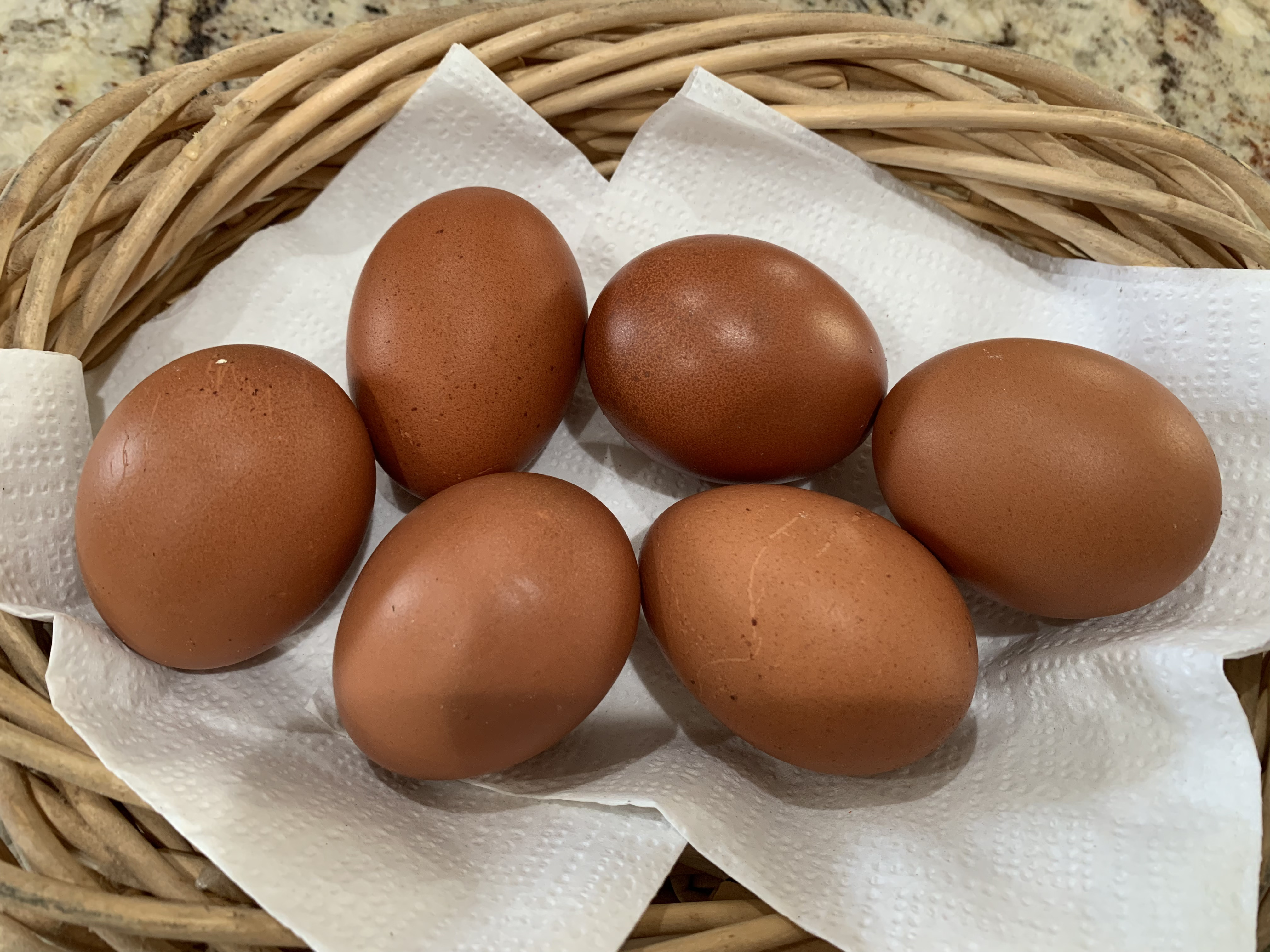 Copper Rock Maran Eggs