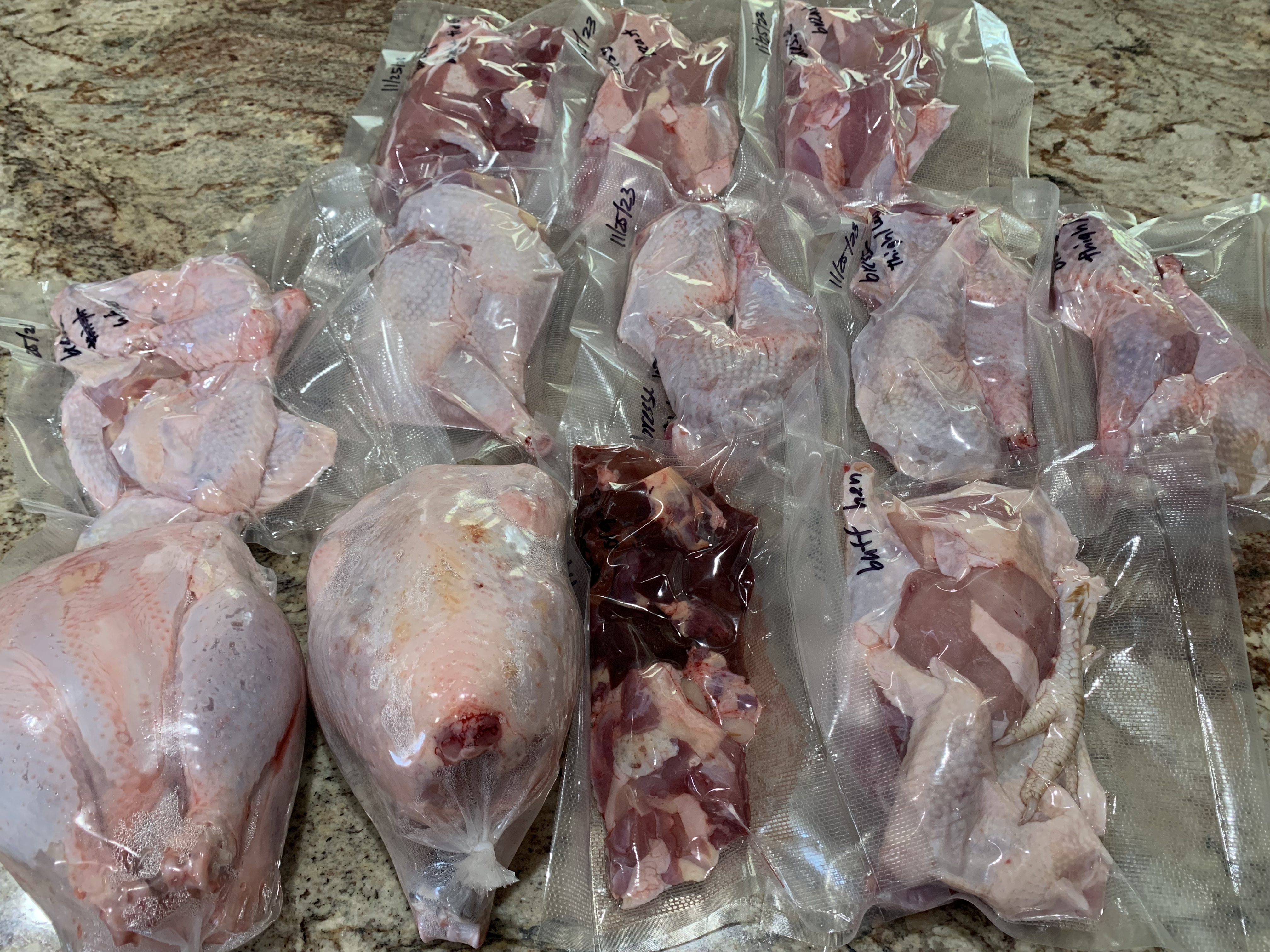 Processed American Bresse Chickens