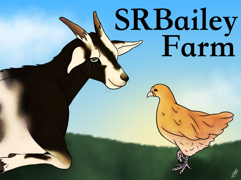 SRBailey Farm